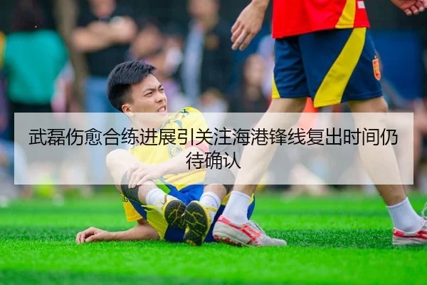 武磊伤愈合练进展引关注海港锋线复出时间仍待确认